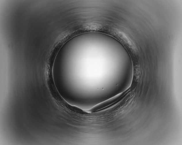 X0000094190544200710261133