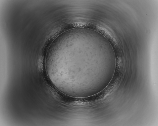 X0000094190545200710261133