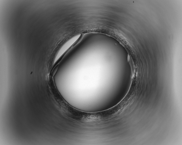 X0000094190546200710261133