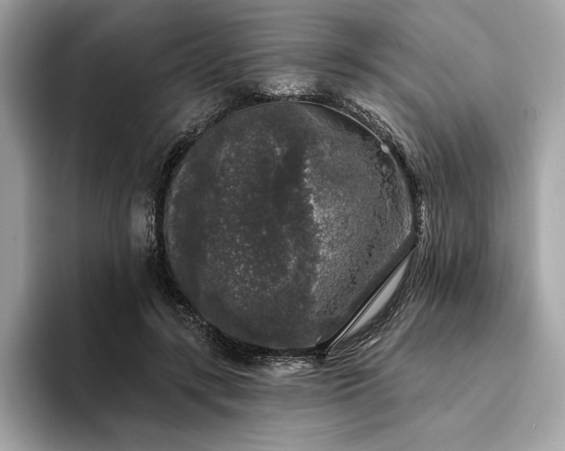 X0000094190547200710261133