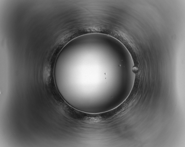 X0000094190548200710261134