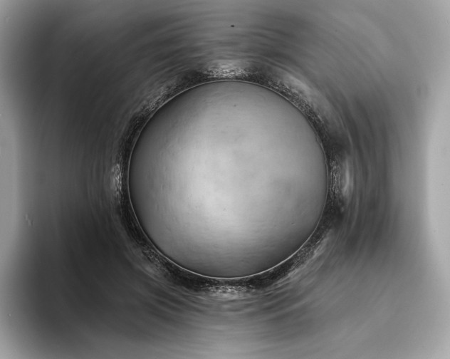 X0000094190549200710261134