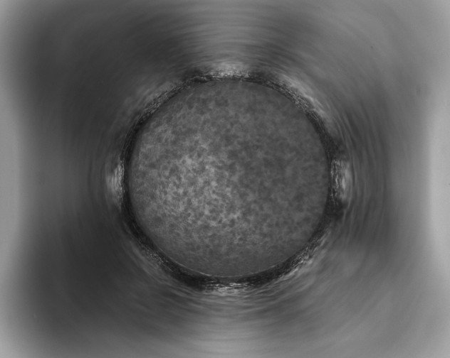 X0000094190550200710261134