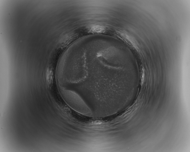 X0000094190551200710261134