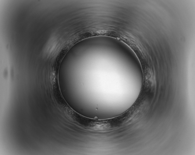 X0000094190555200710261134