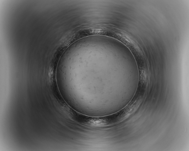 X0000094190557200710261134