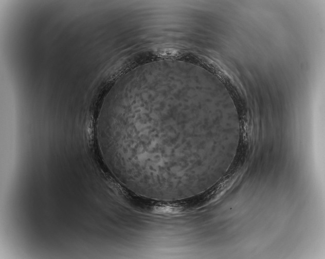 X0000094190561200710261134