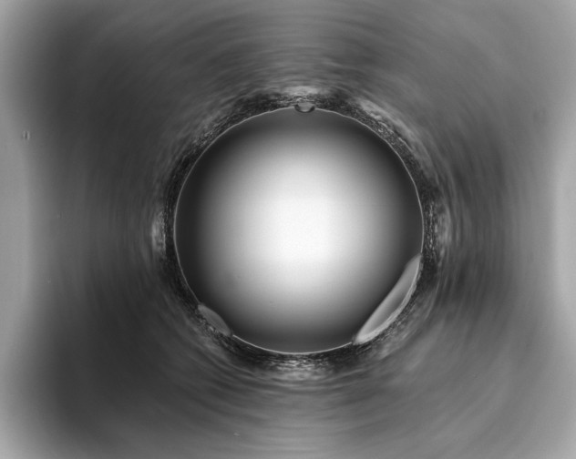 X0000094190562200710261134