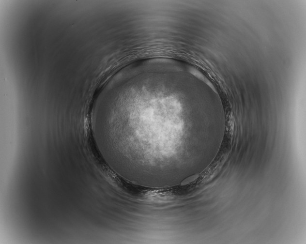 X0000094190568200710261134