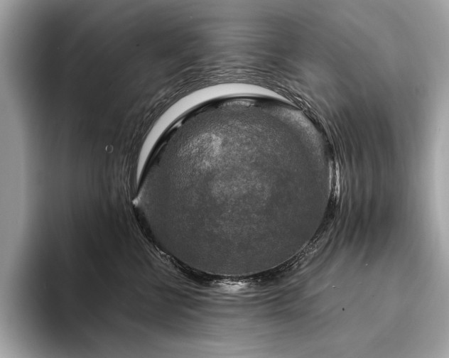 X0000094190570200710261134