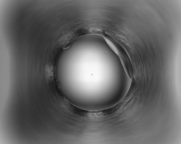 X0000094190571200710261134