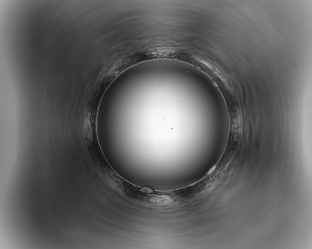 X0000094190572200710261134