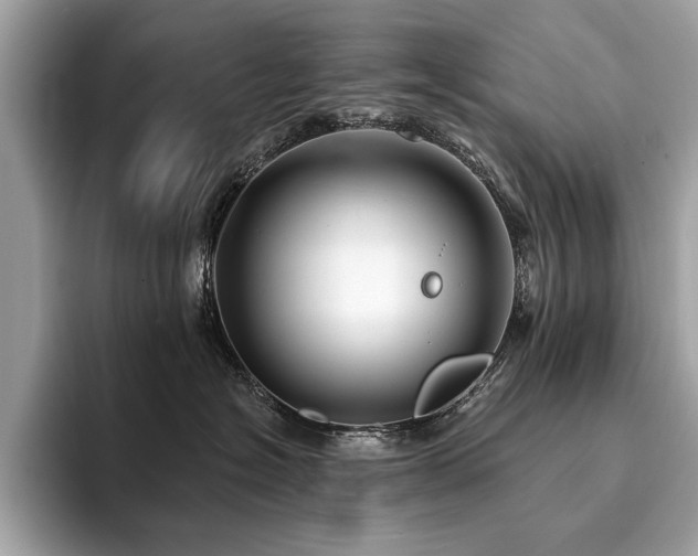 X0000094190574200710261134