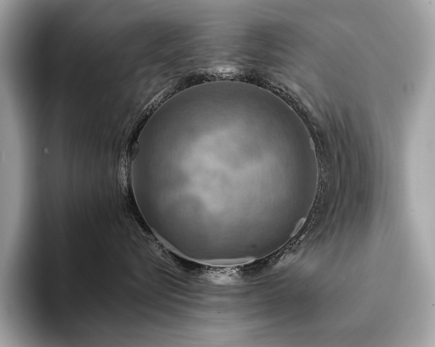 X0000094190576200710261134