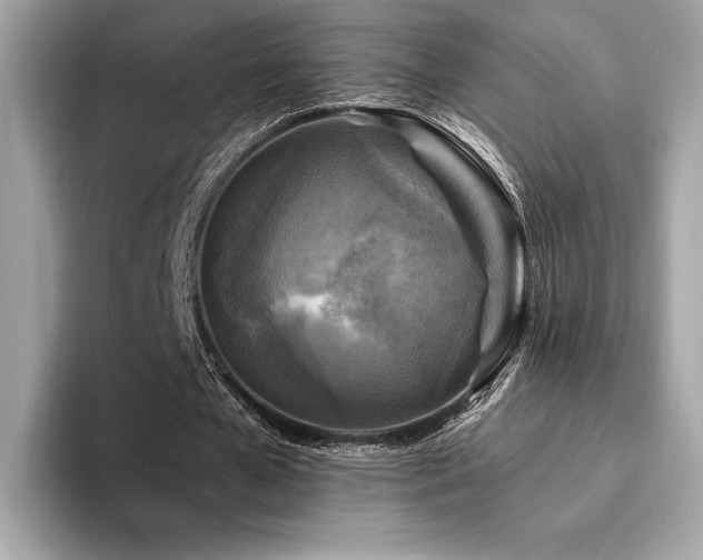 X0000094190577200710261133