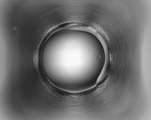 X0000094190580200710261133