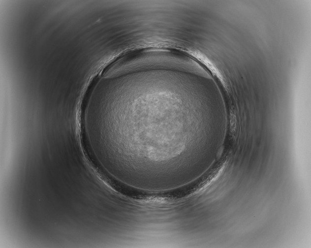 X0000094190581200710261133