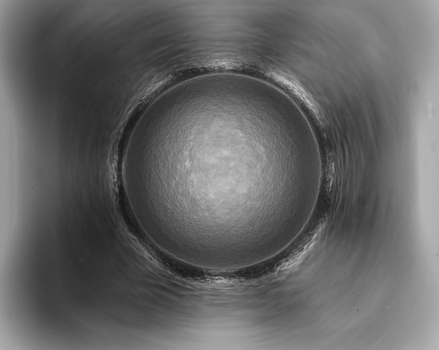 X0000094190585200710261133