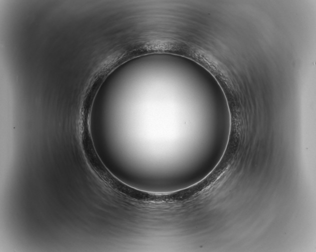 X0000094190586200710261133