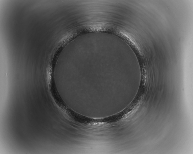 X0000094190590200710261133