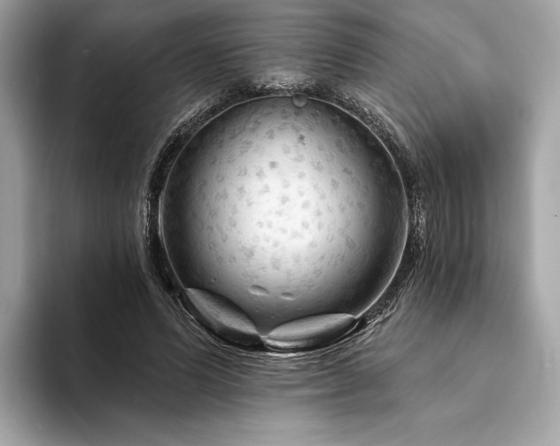 X0000094190591200710261133