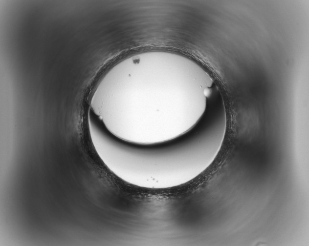 X0000094190592200710261133