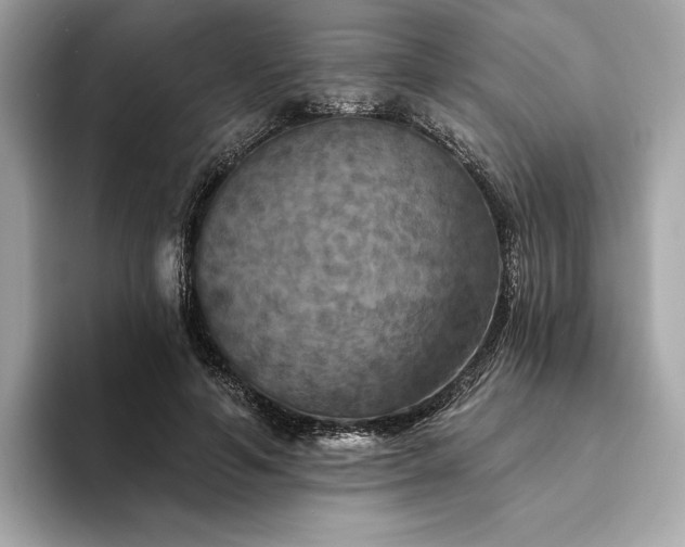 X0000094190594200710261133
