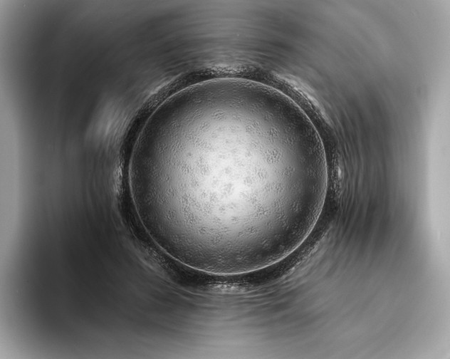 X0000094190596200710261133