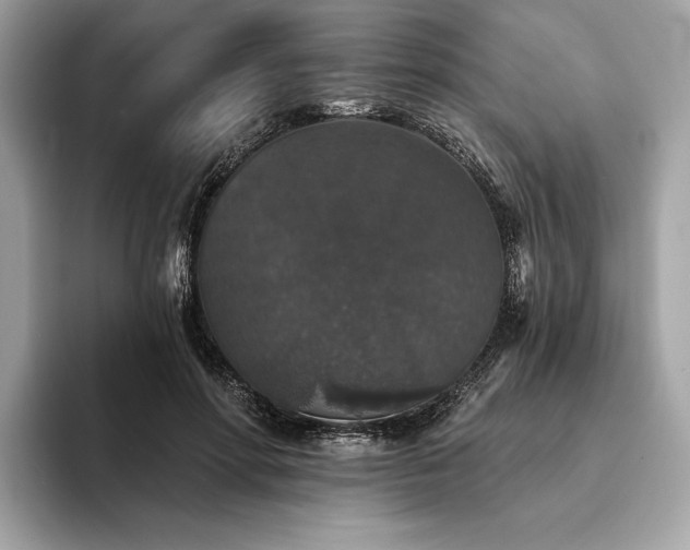 X0000094190598200710261133