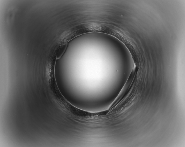 X0000094190600200710261133