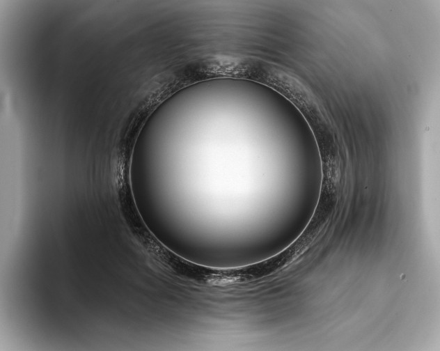 X0000094190602200710261133