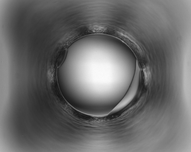 X0000094190604200710261133