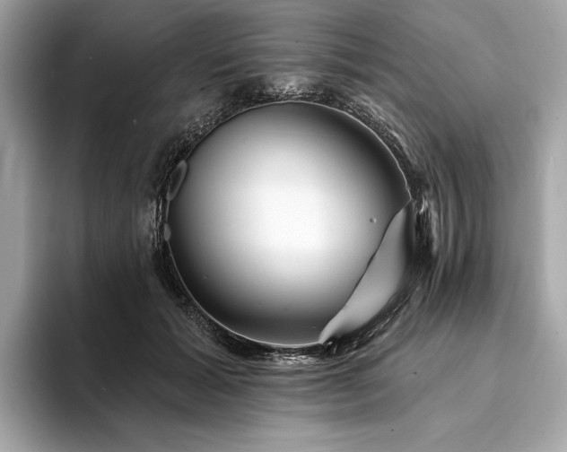 X0000094190605200710261133
