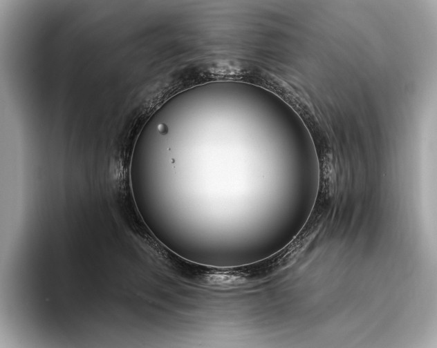 X0000094190614200710261133