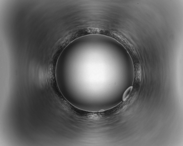 X0000094190616200710261133