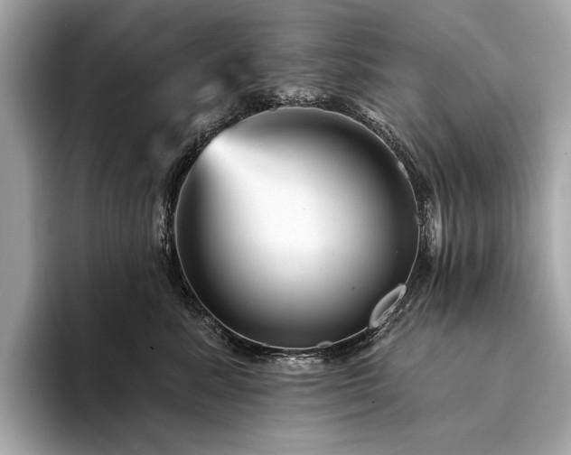 X0000094190619200710261133