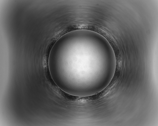 X0000094190620200710261133