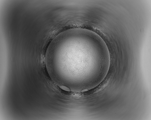 X0000094190624200710261133