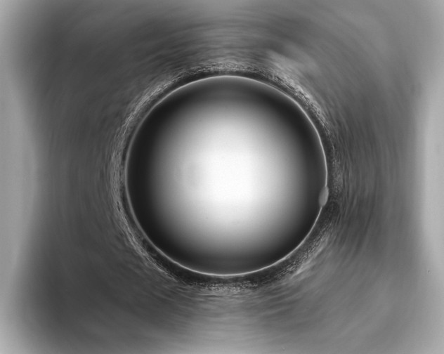 X0000094190625200710261132