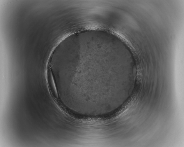 X0000094190626200710261132