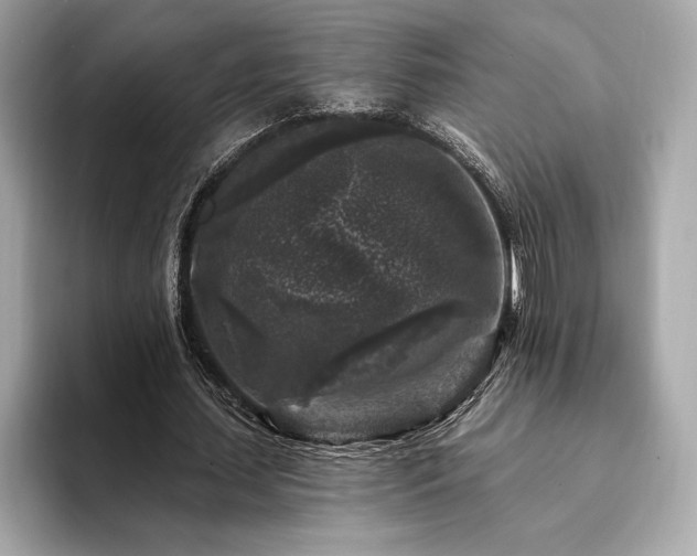 X0000094190627200710261132