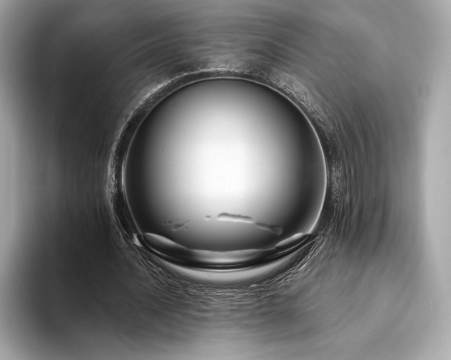 X0000094190628200710261132