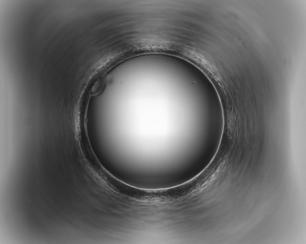 X0000094190629200710261132