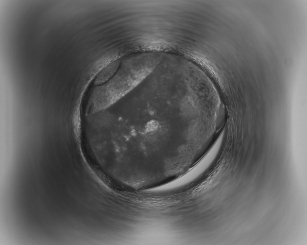 X0000094190630200710261132