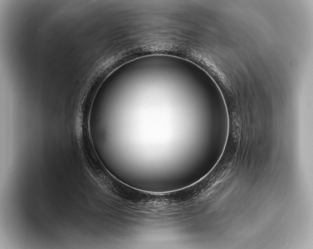 X0000094190631200710261132