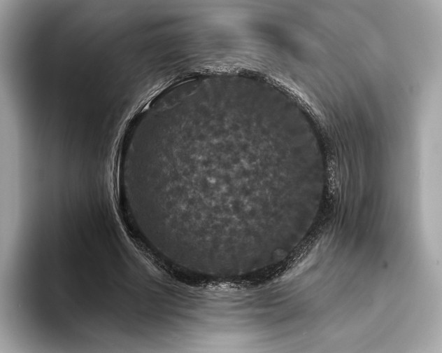 X0000094190634200710261132