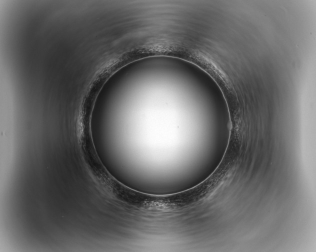 X0000094190635200710261132