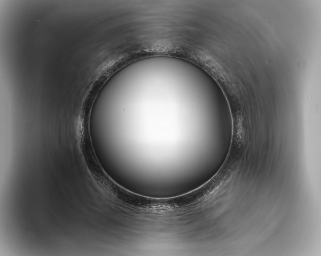 X0000094190636200710261132