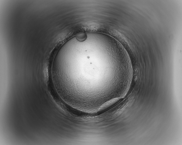X0000094190638200710261132