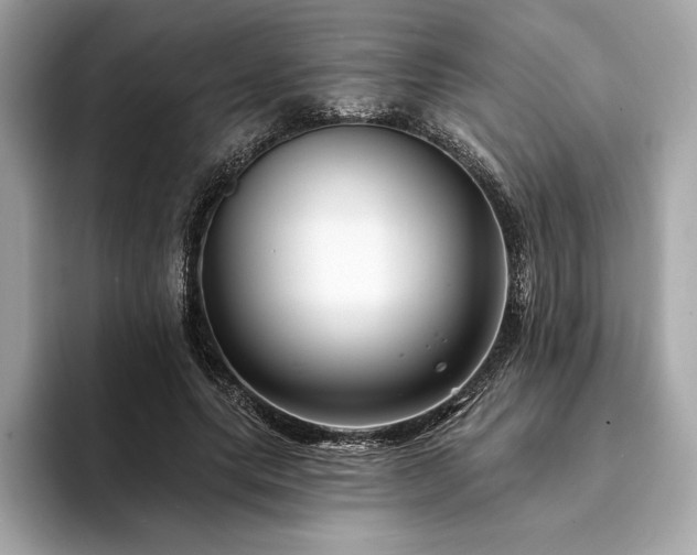 X0000094190639200710261132